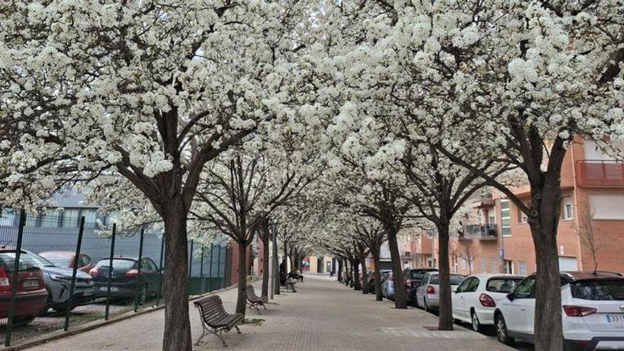 Aquest és carrer més florit de Manresa