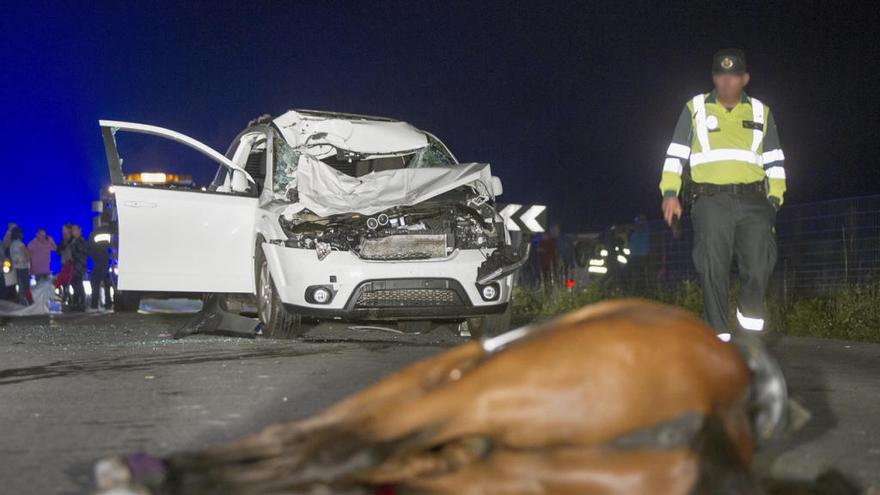 Mueren una jinete y su caballo al ser alcanzados por un coche en Vilalba