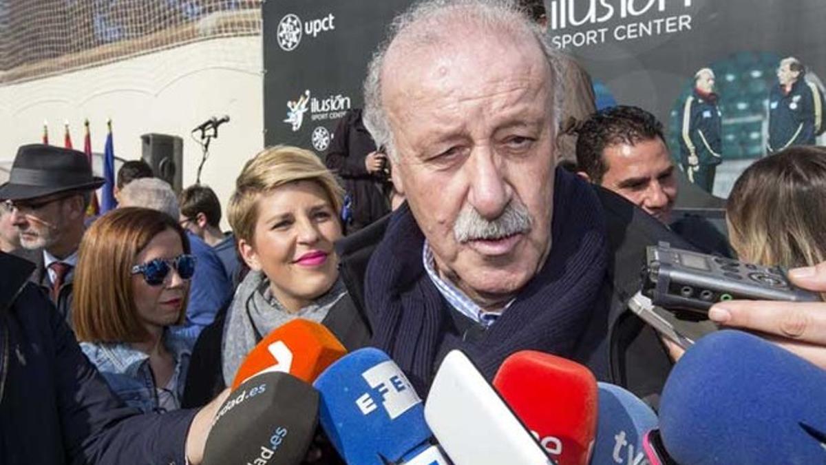 El seleccionador español Vicente Del Bosque