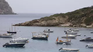 Andratx adjudica a siete entidades las subvenciones para proyectos sostenibles en el municipio