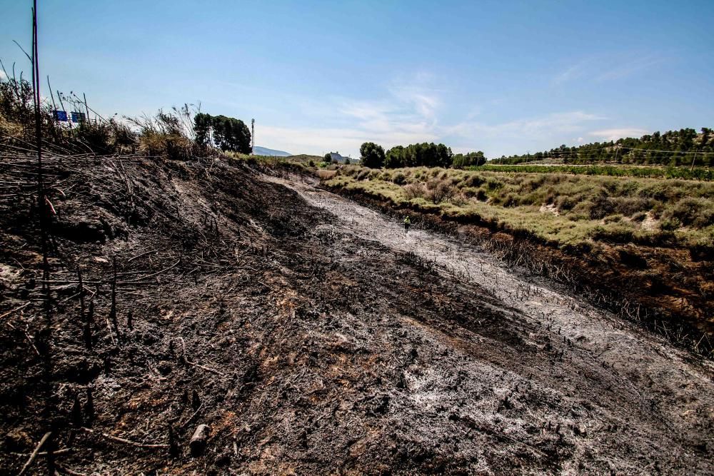 El fuego calcinó 20.000 metros cuadrados de matorral la noche del miércoles