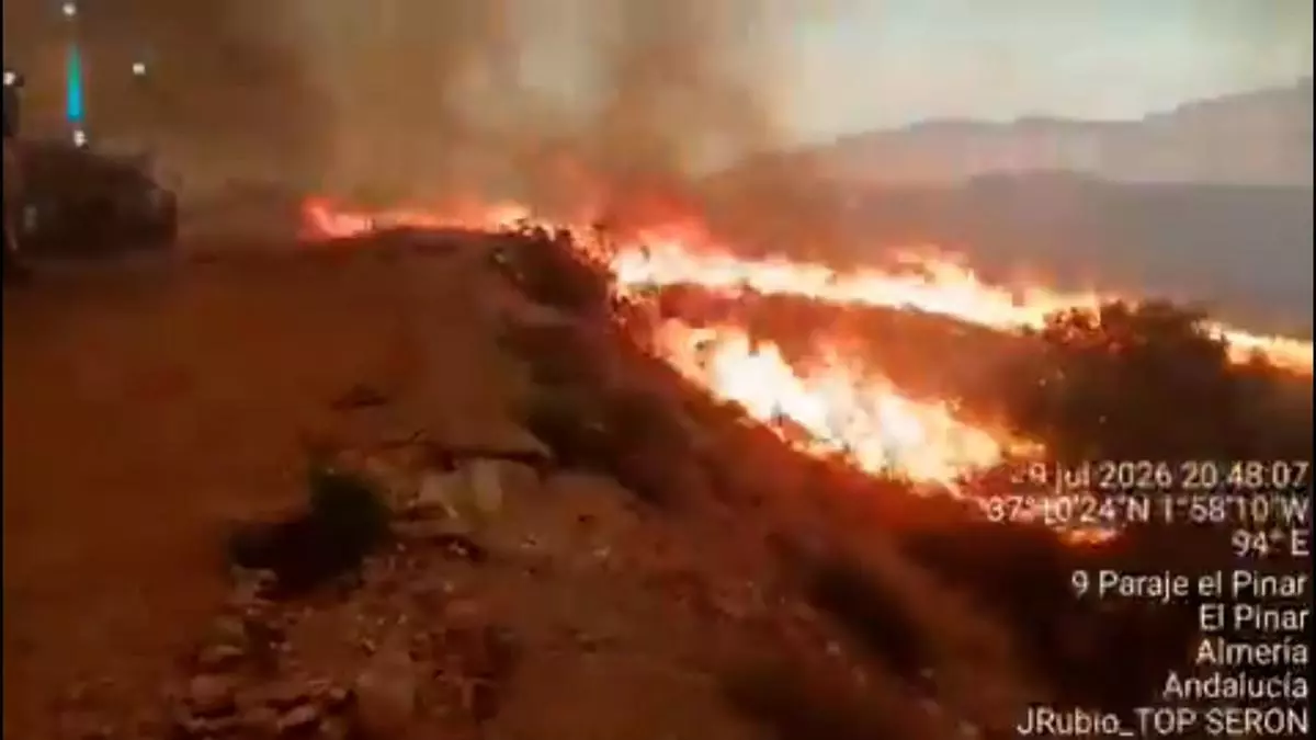 Tragedia en Los Gallardos: la lucha contra el fuego