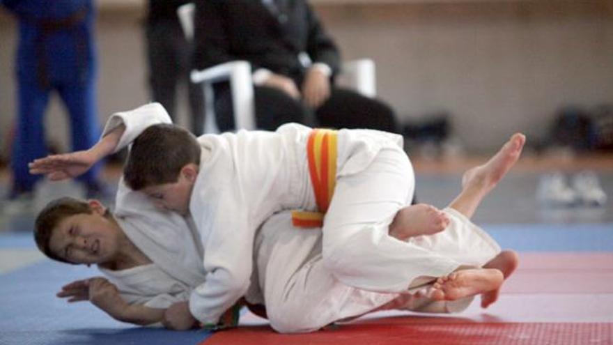 Blázquez no da marcha atrás y el judo se queda sin ayuda económica del programa de seguimiento.