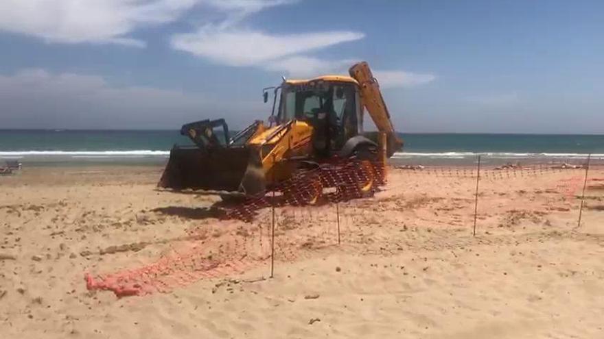 Bañistas esquivando máquinas en la playa del Carabassí de Elche