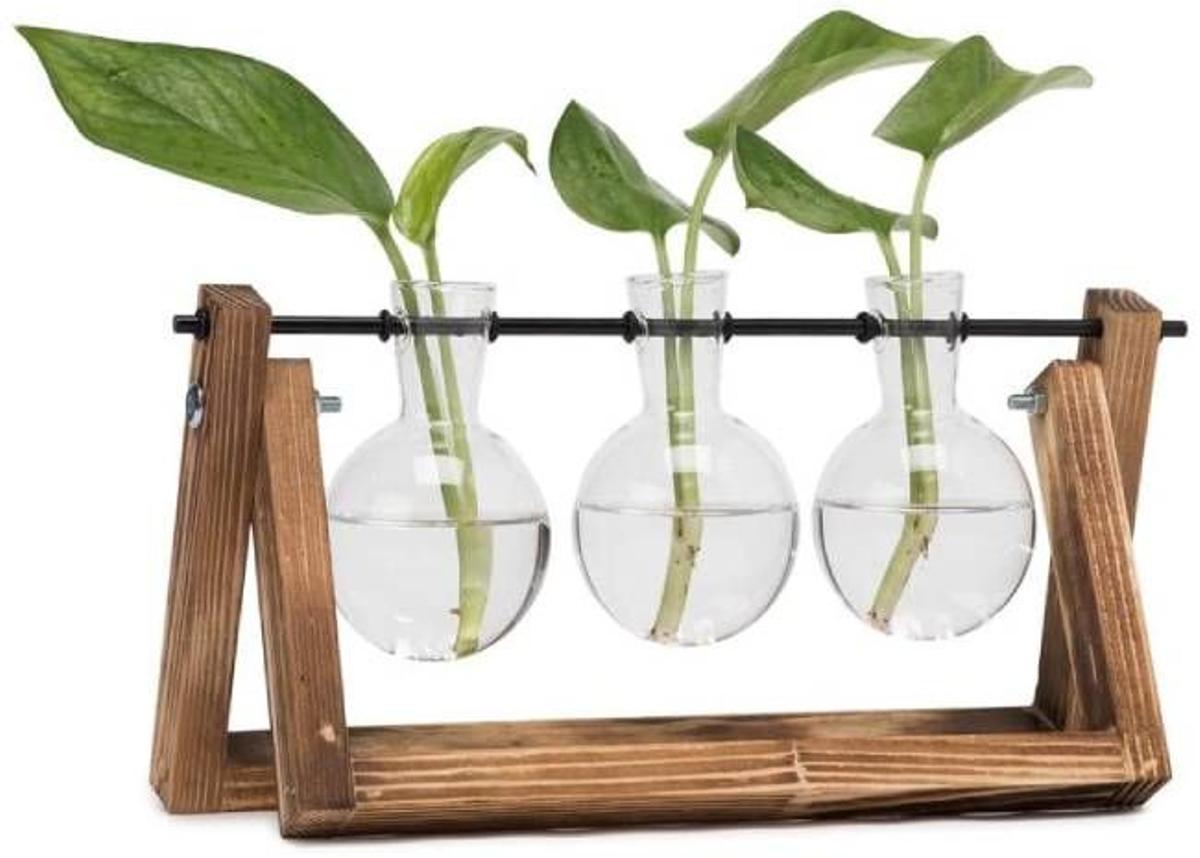 Florero para planta hidropónica