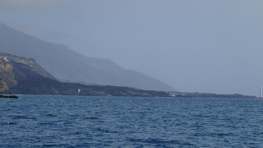 Imágenes submarinas de la fajana de La Palma