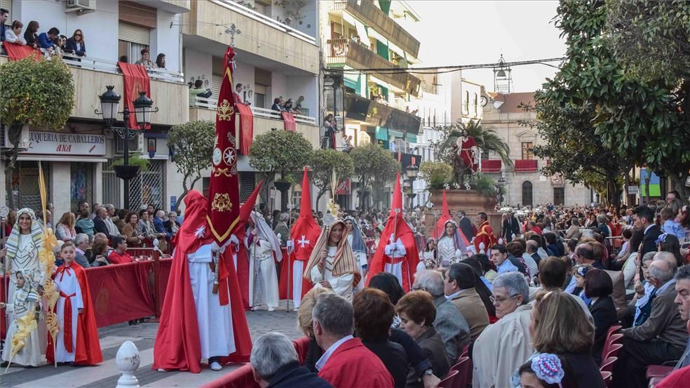 FOTOGALERÍA / El Domingo de Ramos en la provincia