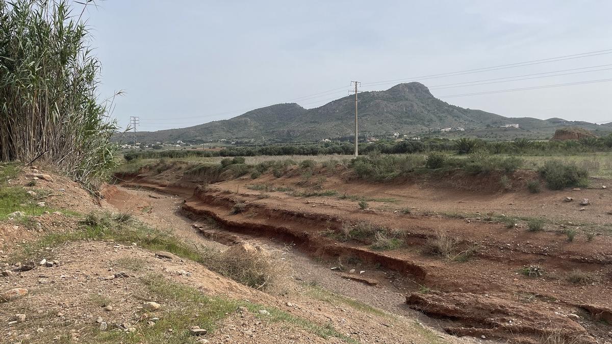 La CHS ha sacado a licitación las obras de restauración hidrológico-forestal en el barranco de Ponce.