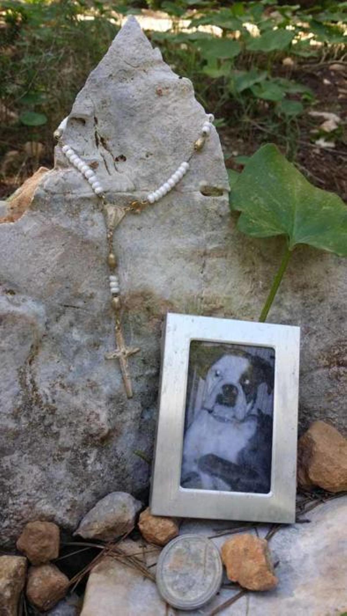 Cementerio de mascotas