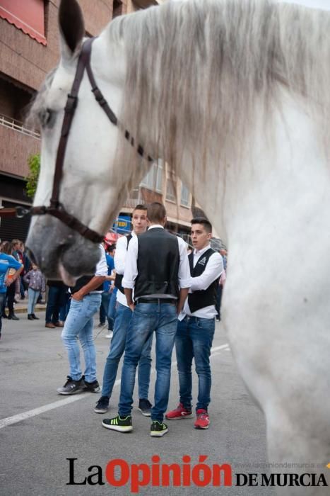 Caballos del Vino: Concurso morfológico (salida Pl