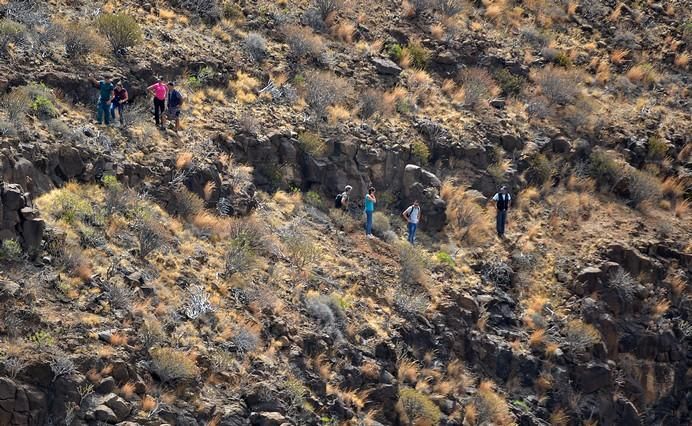 CADÁVERES TEMISAS AGÜIMES RESTOS OSEOS