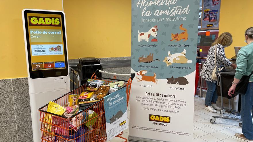 Supermercados Gadis inicia en Zamora una campaña de alimentos para perros y gatos