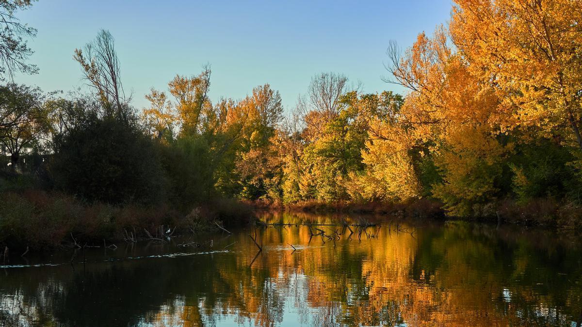 El paseo junto al río donde es posible caminar a la sombra sin salir de Madrid