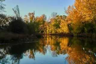 El paseo junto al río donde es posible caminar a la sombra sin salir de Madrid