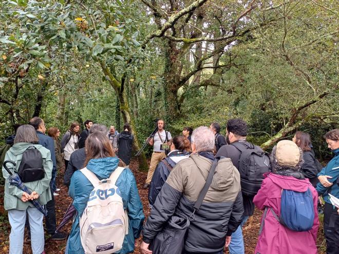 Cortegada muestra todos sus encantos