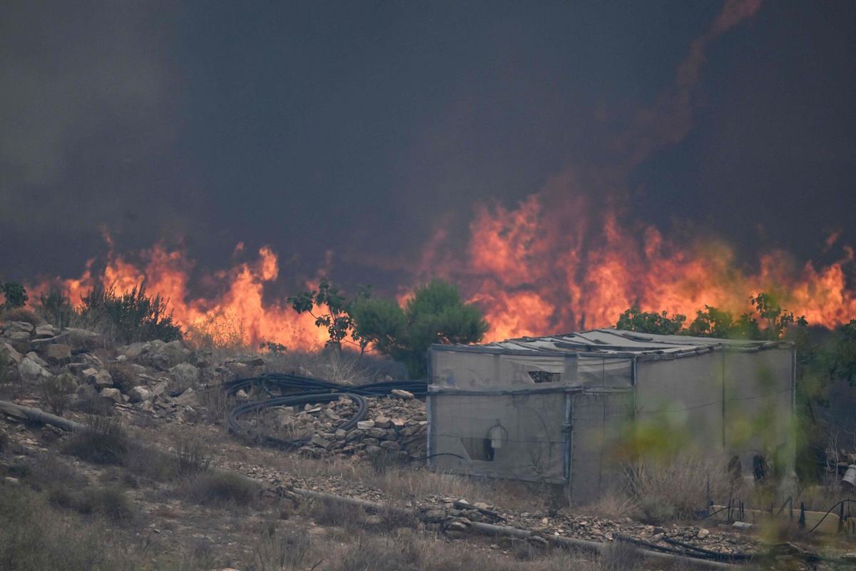 Una foto tomada el 10 de julio de 2026 muestra fuego en el área de un incendio forestal que mató a 11 personas cerca de Bedar, en el distrito de Los Gallardos, en la provincia de Almería.