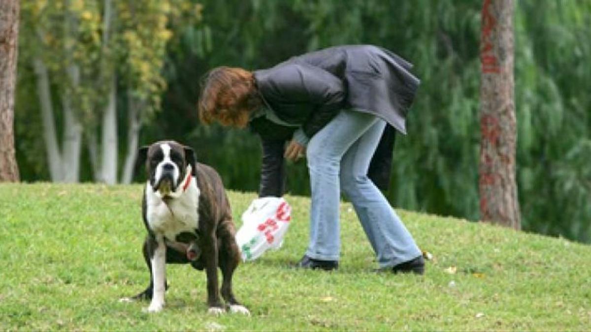 Una joven recoge los excrementos de su mascota en un parque.