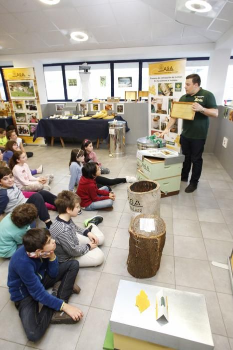 Semana de la Cultura Asturiana en el CP Jovellanos