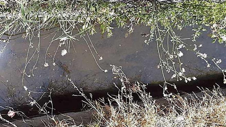 La acequia de riego agrÃ­cola.