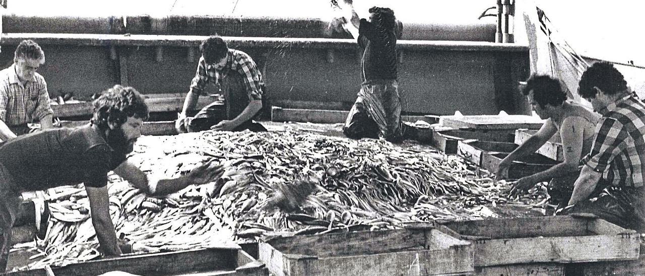 Seleccionando las capturas. Archivo MAGÓN