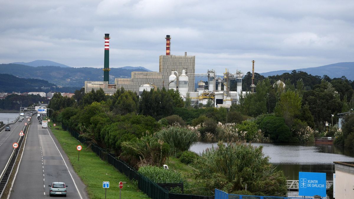 Una vista de la fábrica de Ence en Pontevedra.