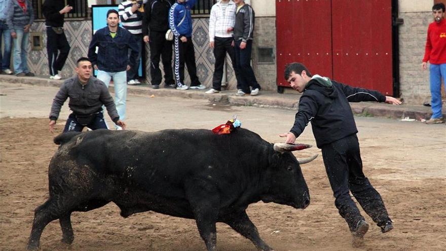 Los bous al carrer se preparan para una suspensión por el coronavirus y exigirán ayudas