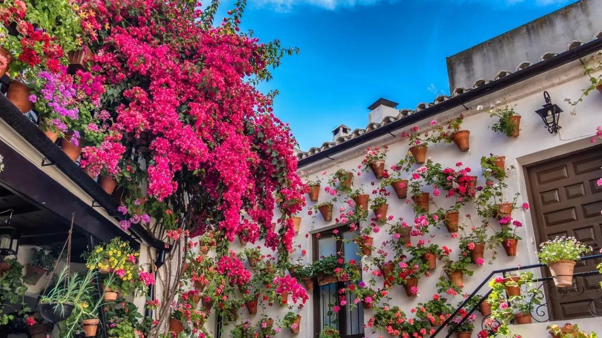 La primavera llega a las calles de España con flores de mil colores