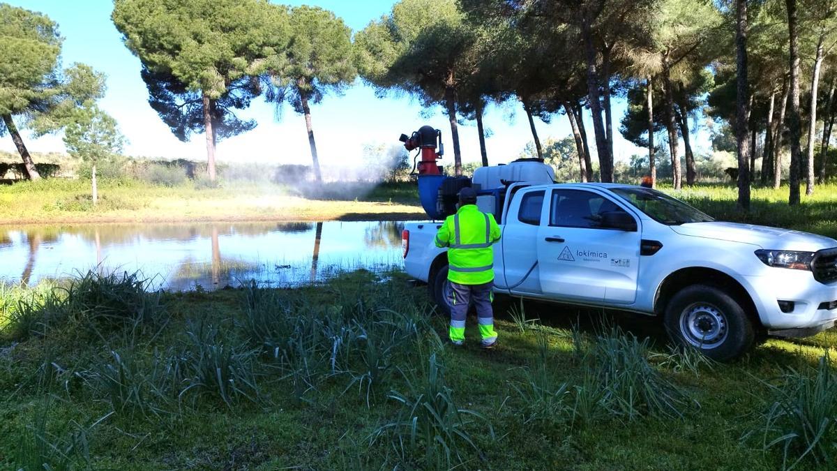 Las intervenciones se adaptan al entorno para controlar poblaciones de mosquito sin alterar el ecosistema.