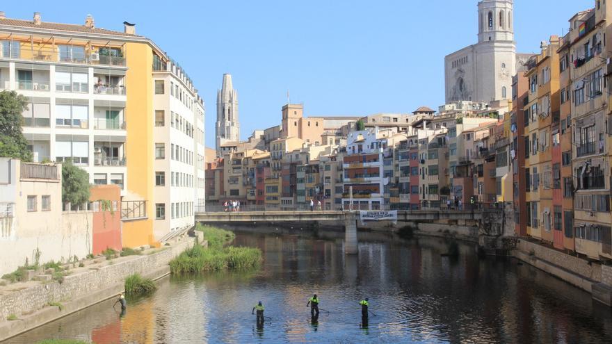 Girona treu algues de l&#039;Onyar per evitar pudors pel tancament de la sèquia Monar