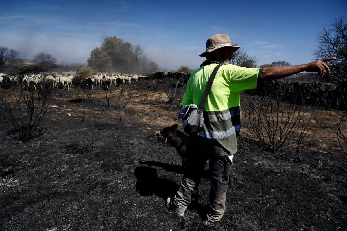 El incendio de Fermoselle arrasa los pastos.