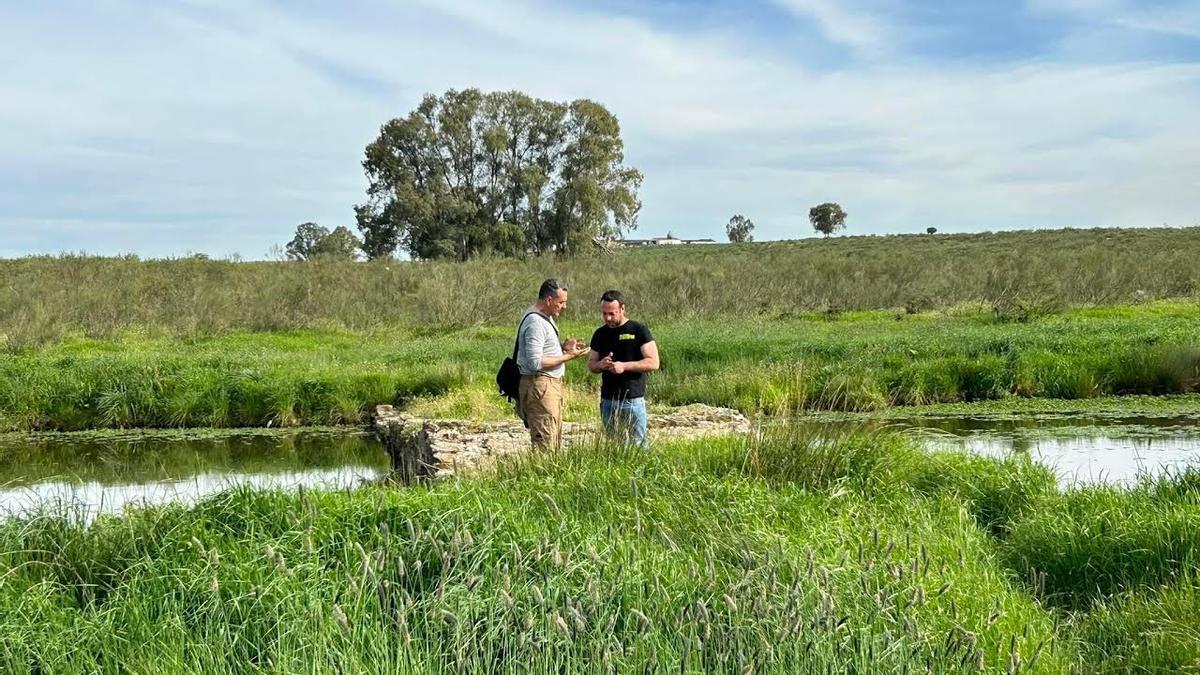 El alcalde de Talaván (derecha), Luis Enrique Periáñez, observa la planta invasora en el embalse de Talaván.