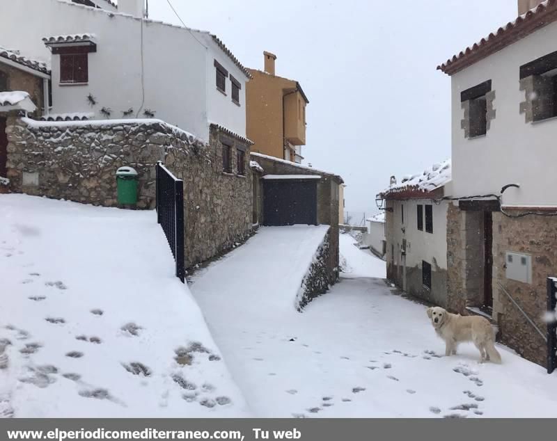 Efectos de la borrasca 'Gloria' en la provincia de Castellón