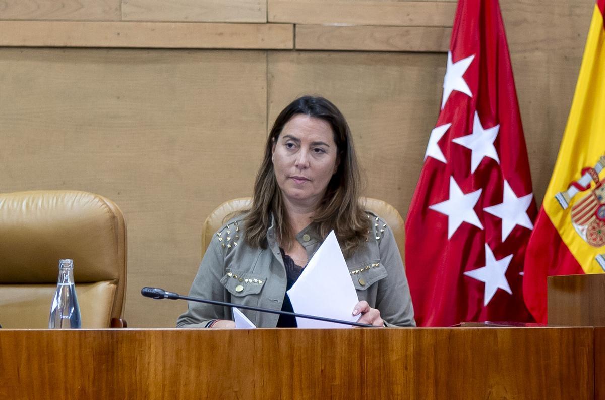 La vicepresidenta primera de la Asamblea de Madrid, Ana Millán, durante un pleno en la Asamblea de Madrid, a 5 de febrero de 2026.