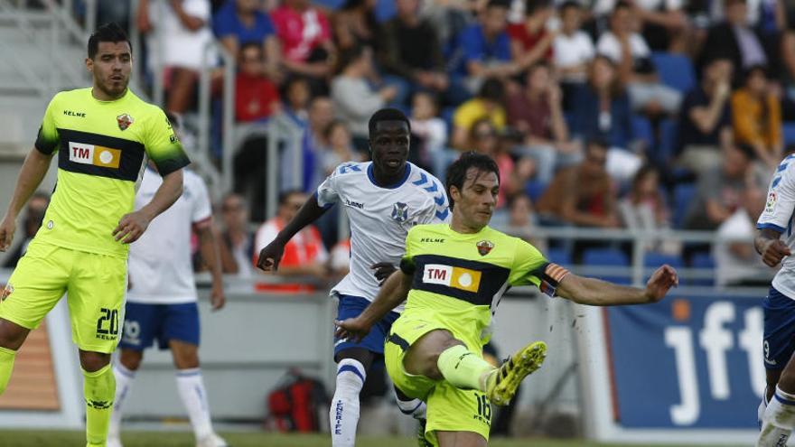 Pelegrín, durante el partido ante el Tenerife