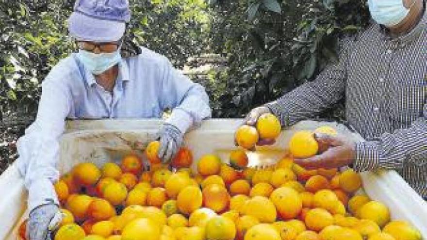 Comprometidos con el agro