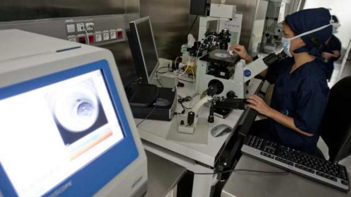 Una técnico del Instituto Valenciano de Infertilidad (IVI), ubicado en Alicante, realiza pruebas.