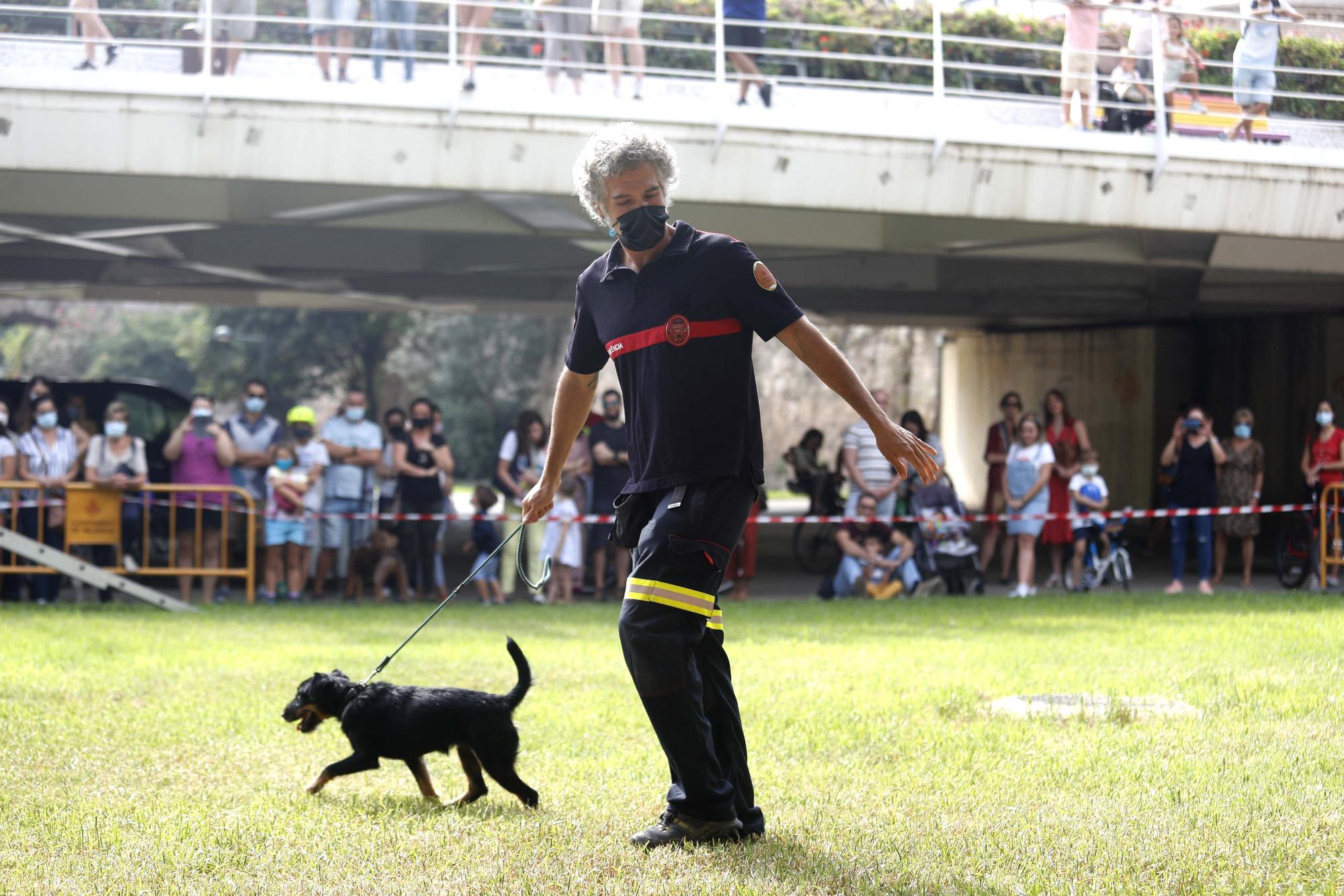 ¡Qué animalada!