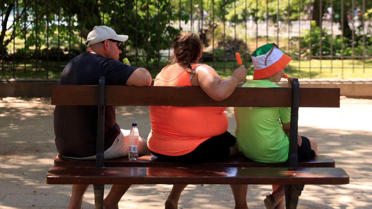 Tres personas se refrescan a la sombra de un árbol en un parque de Madrid.