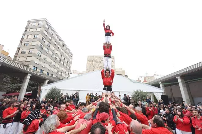 Galería de imágenes: IX Trobada de Muixerangues de Castelló