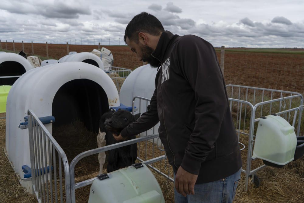 Los labradores y ganaderos piden precios justos.