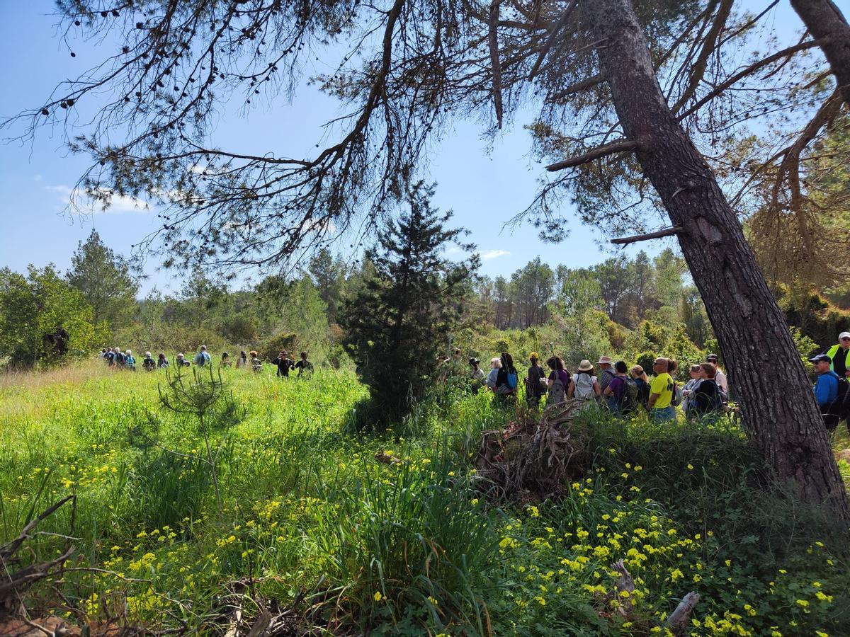 La jornada para reivindicar los caminos públicos de Ibiza y vías agropecuarias en imágenes La jornada para reivindicar los caminos públicos de Ibiza y vías agropecuarias en imágenes