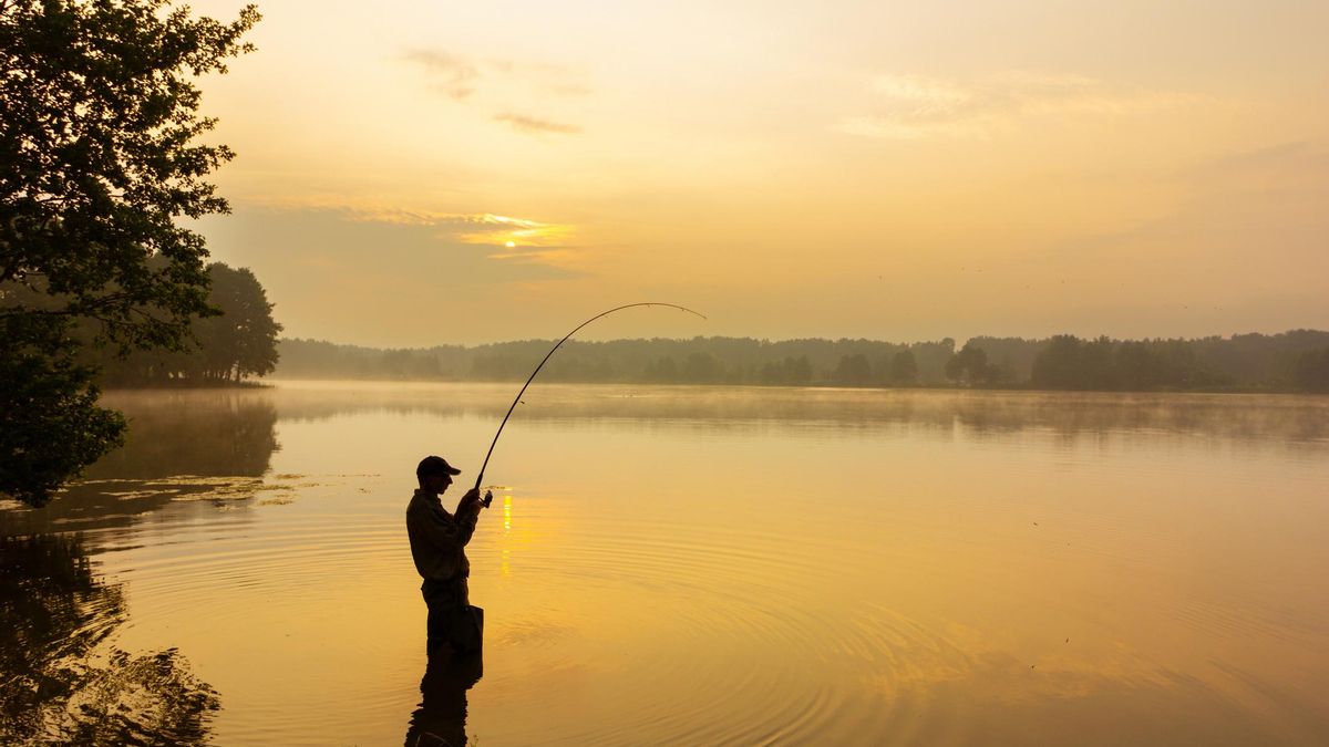Los 4 mejores sitios de España para pescar: aquí podrás capturar salmones, truchas o bonitos