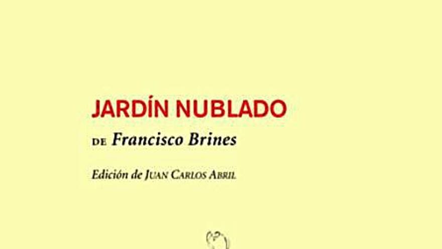 «Jardín nublado» (2016). | 