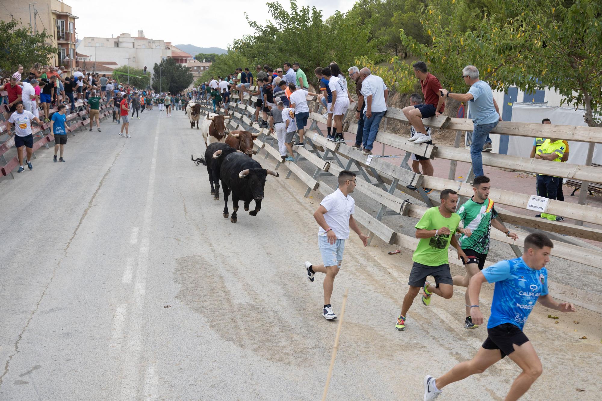 Tercer encierro de la Feria Taurina del Arroz en Calasparra