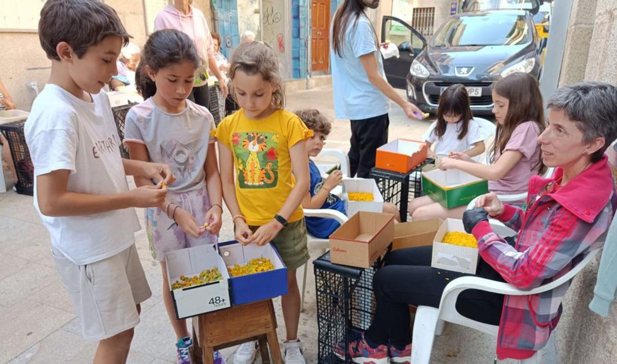 Unos niños colaboran en las labores de deshojar las flores.   | // A.P.