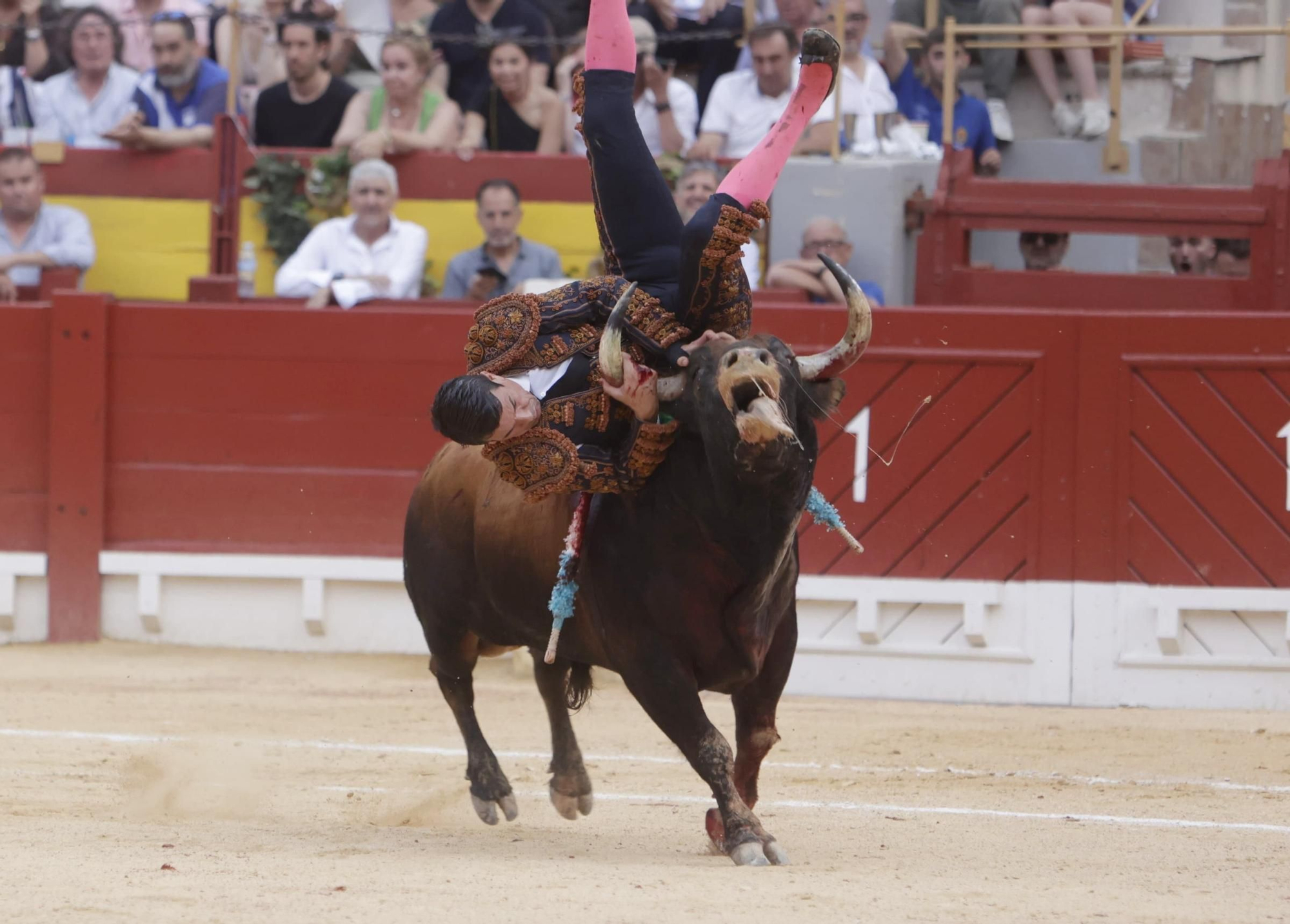 Susto en el cuarto toro de Manzanares en la Feria de Hogueras 2025