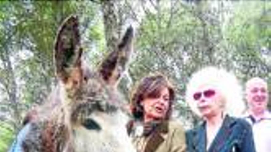 La Casa del Burro garantiza el bienestar de los animales