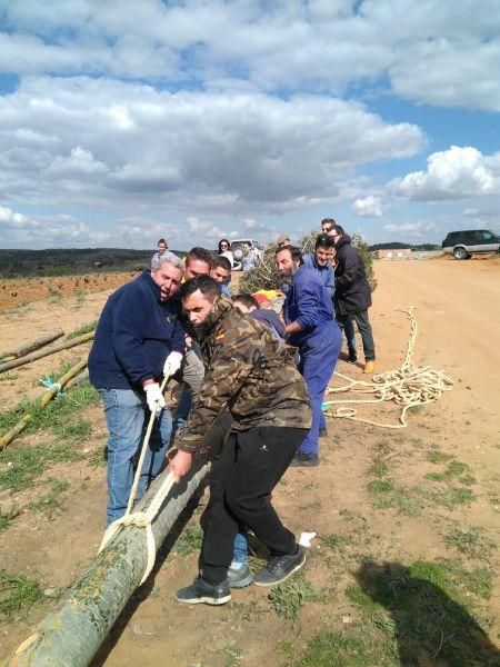 La tradición del mayo en Zamora