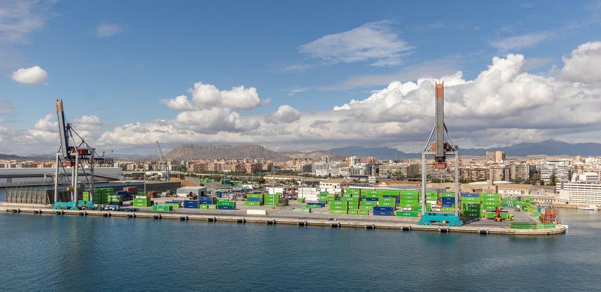 Vista de la ona de contenedores del puerto de Alicante.