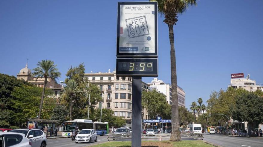 Ola de calor en Mallorca: alerta amarilla este jueves por altas temperaturas, de hasta 39ºC